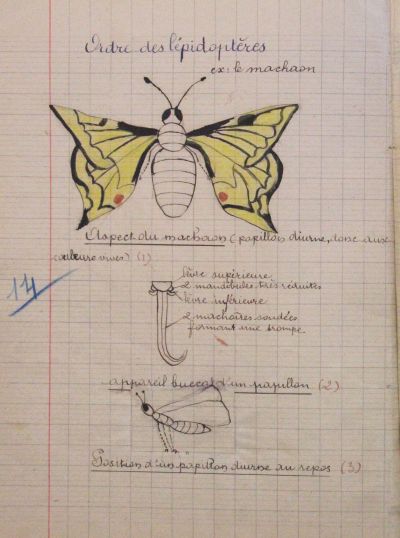 Exposition sur l'école : le musée a besoin de vous !