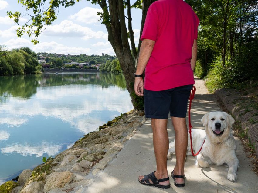 L'exposition Trois artistes en balade est prolongée